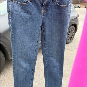 LOFT Blue Skinny Jeans